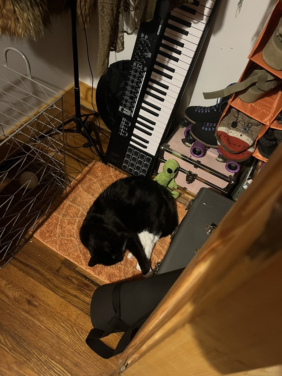 BParsh's tweet photo. put a rug in here hoping this would happen πππ» #spotoftheweek https://t.co/pibM8U0Wd4