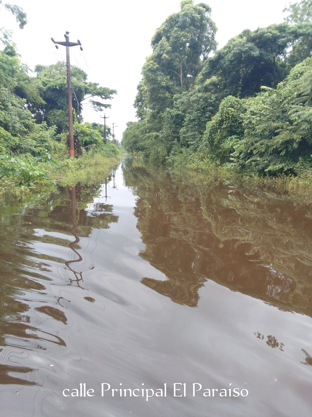 UntBrión on Twitter 