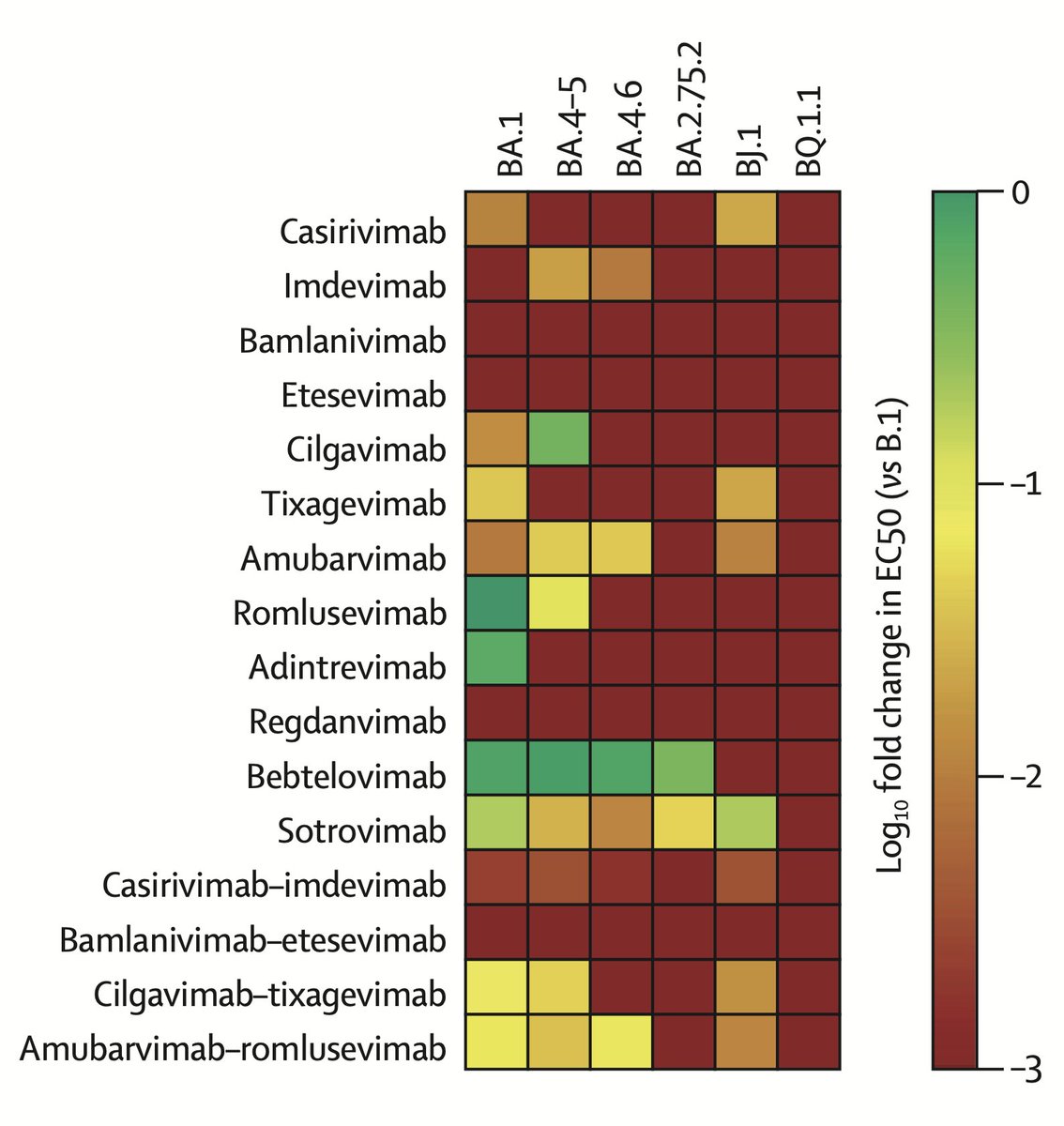Eric Topol (@erictopol) on Twitter photo The BQ.1.1 variant, as compared with many of the other new variants, is resistant to all clinically used monoclonal antibodies.
BQ.1/BQ.1.1 are now the dominant variants in the United States
thelancet.com/journals/lanin… <a href="/TheLancetInfDis/">The Lancet Infectious Diseases</a> The BQ.1.1 variant, as compared with many of the other new variants, is resistant to all clinically used monoclonal antibodies.
BQ.1/BQ.1.1 are now the dominant variants in the United States
thelancet.com/journals/lanin… <a href="/TheLancetInfDis/">The Lancet Infectious Diseases</a>