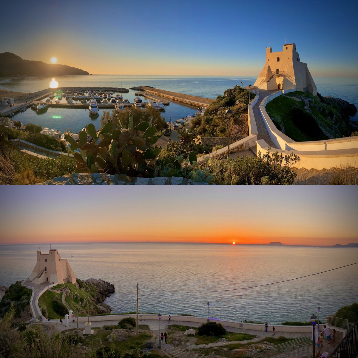 Sperlonga tweet media