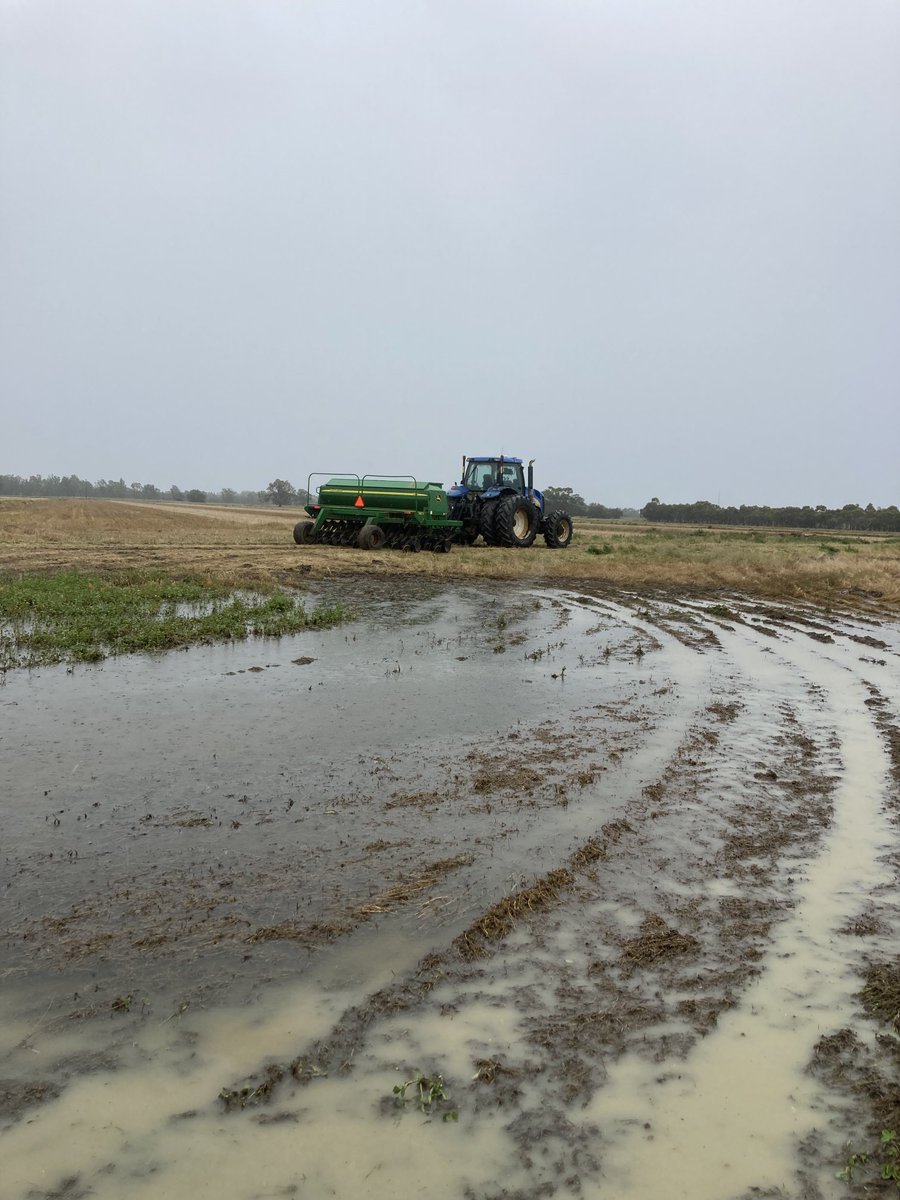 Finally, rice sowing complete