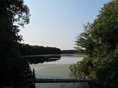 New town every hour tweet media