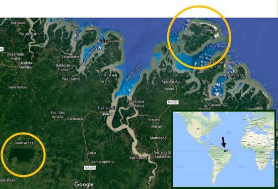martonkruppa's tweet photo. Northern Brazil forest project is offering 250,000 self-certified nature based carbon credits and 176,000 biodiversity preservation credits
via @planck_e 
https://t.co/5N40HWYHaU https://t.co/So6NOp6chG