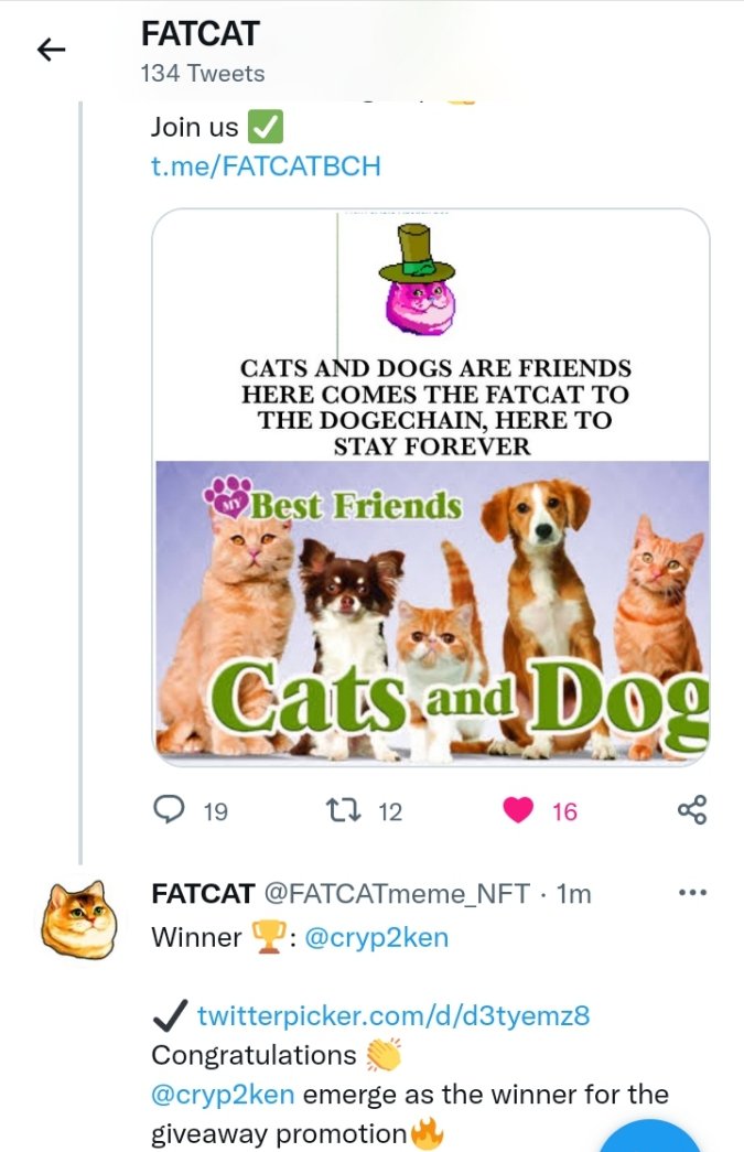 FATCAT tweet media