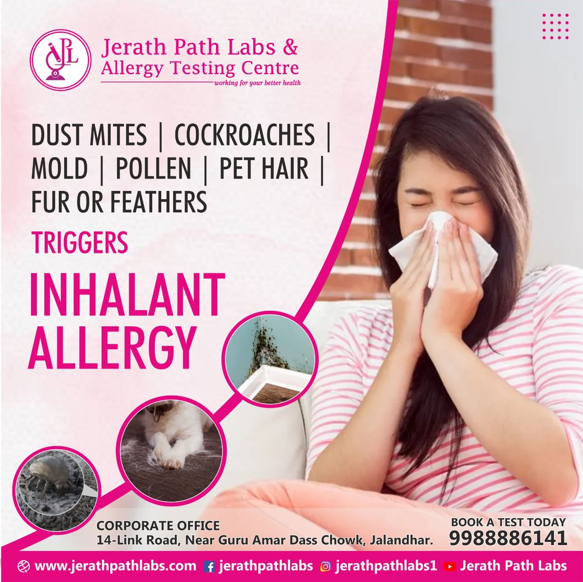 JerathLabs's tweet image. ✅Dust mites, cockroaches, mold, pollen, pet hair, fur or feathers triggers Inhalant Allergy. 📞Book-A-Test-Today, call us on: 9988886141 or visit our website: 🌐jerathpathlabs.com

#JerathPathLabs #JPL #skinallergy #foodallergy #AllergyTest #AllergyFreeNation #JerathPathLab