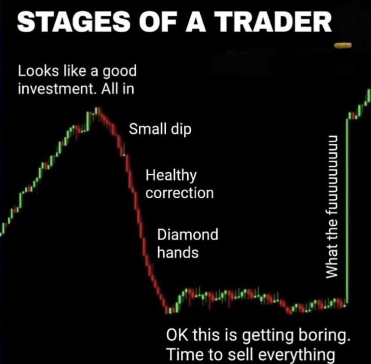 <a href="/cz_binance/">CZ 🔶 BNB</a> Everyone is scared to buy.