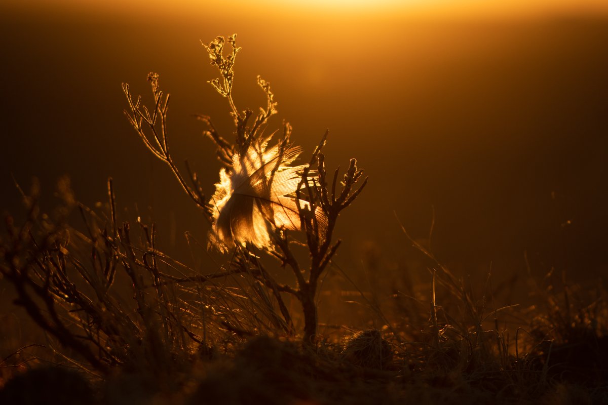 Girls Who Click tweet media