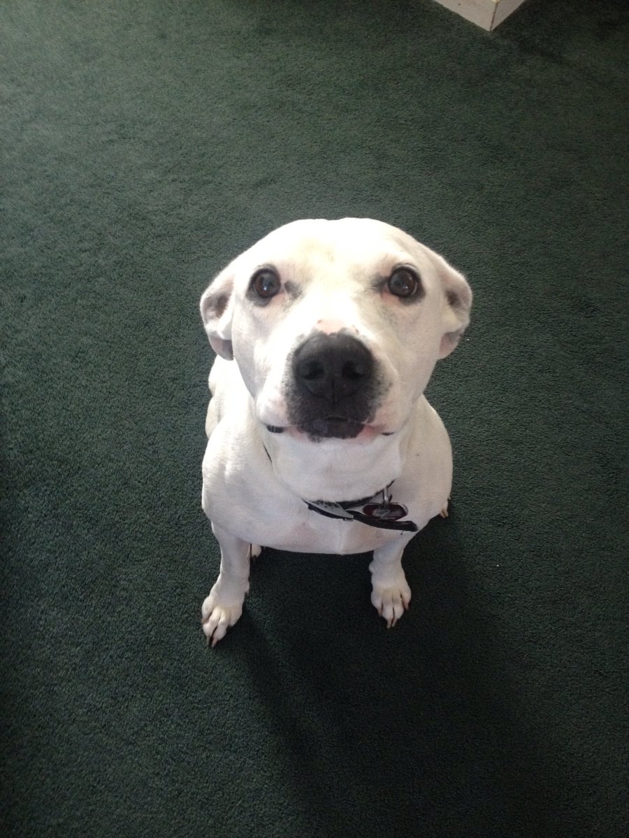 Andy Berenty tweet media