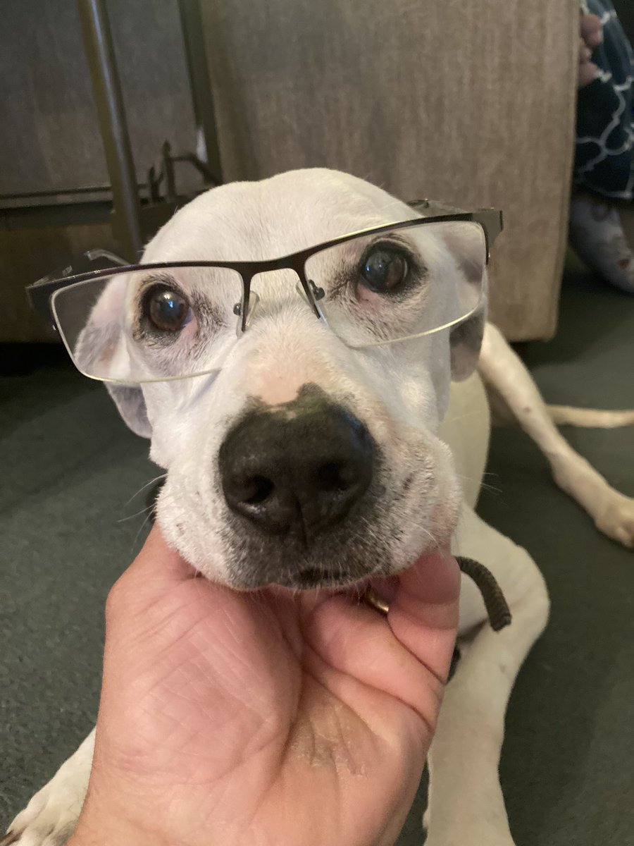 Andy Berenty tweet media