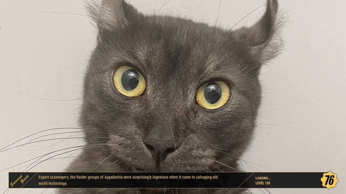 Meevin10's tweet photo. i love my fallout 76 loading screen https://t.co/LGcHSgXMeo