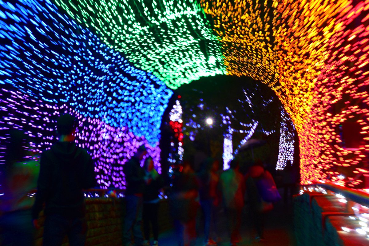 Fun in Texas tweet media