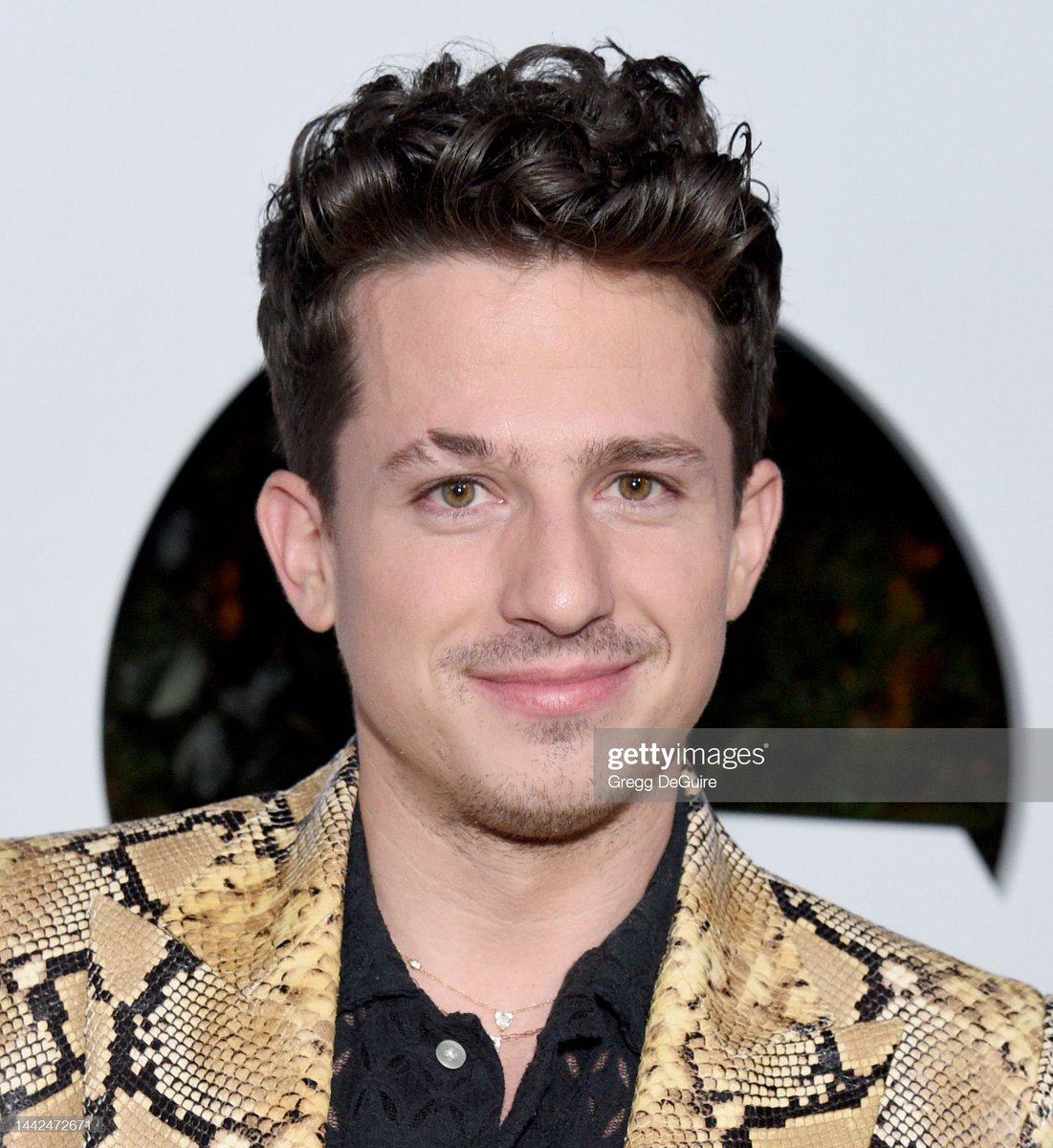 #patronpartner #itsalto #patronelalto
#CharliePuth #チャーリープース
@charlieputh