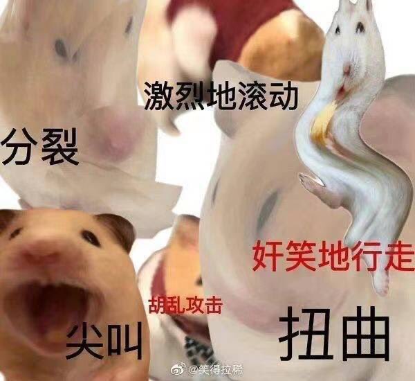 Strawberry tweet media