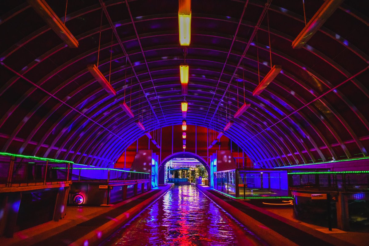 servoisnaked's tweet photo. It’s the most wonderful time of the year and my favorite WDW holiday offering is back https://t.co/Jm2s3cBbiN