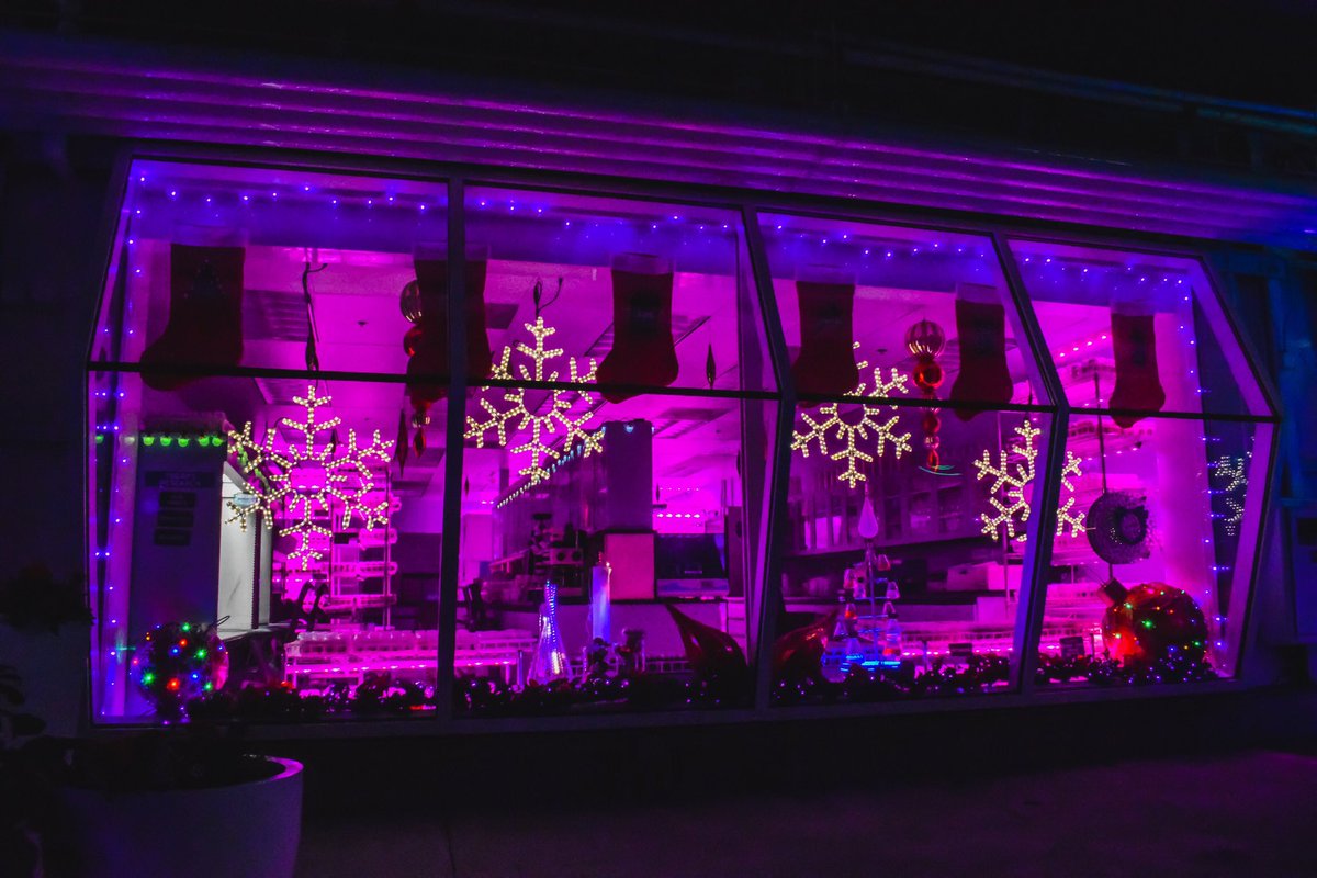 It’s the most wonderful time of the year and my favorite WDW holiday offering is back