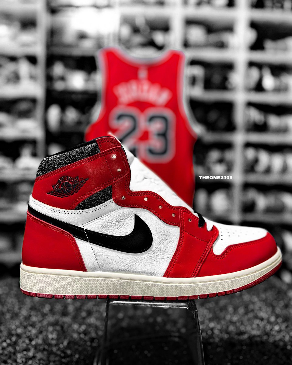 TheOne2309 tweet media