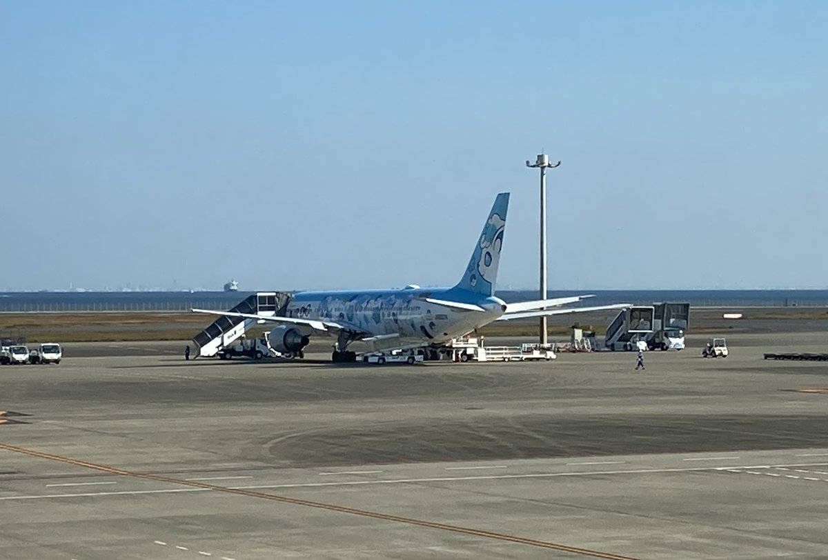 snake_komaje's tweet photo. 羽田空港第2ターミナルサテライトからこんにちは。
さーて松山に帰りますよ。 https://t.co/YitLif97XA
