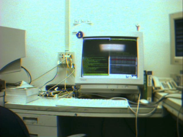 Tom Greene tweet media