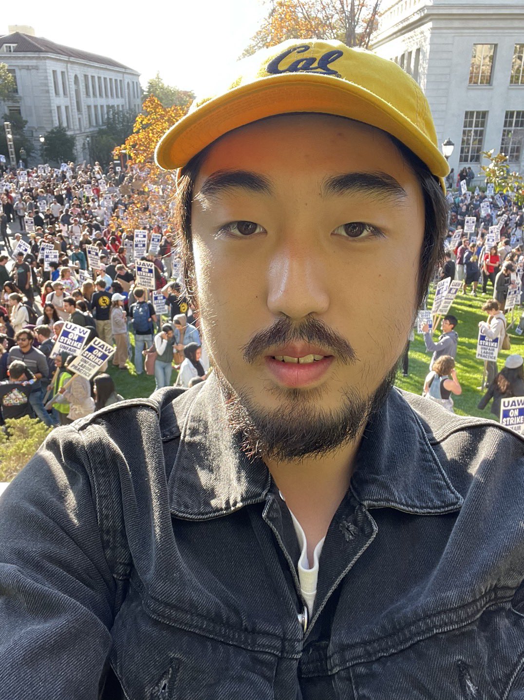 Xiao Liu 刘虓 is on strike on Twitter