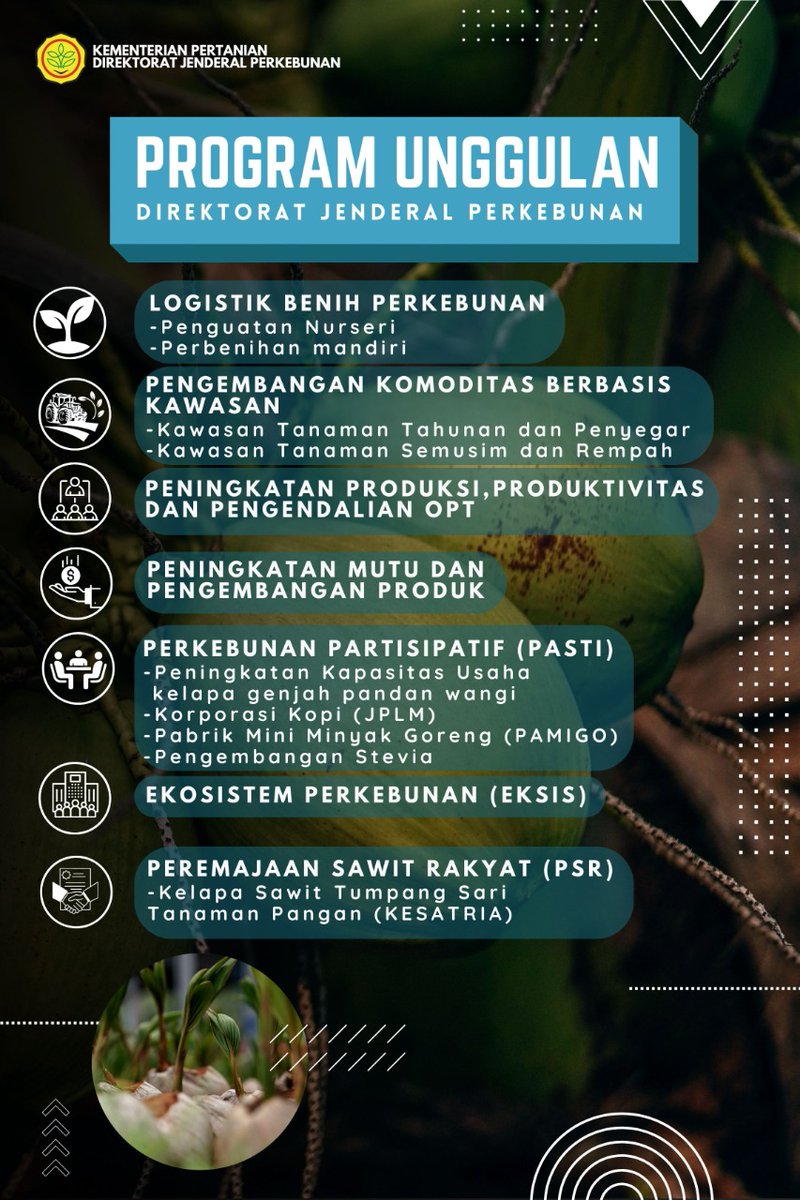 Pada fase penguatan pembangunan perkebunan melalui perkebunan bioindustri dengan menggunakan teknologi modern seperti penggunaan varietas unggul, gap, ghp, mekanisasi, dan lainnya. #PerkebunanBioIndustri #perkebunanbioindustri