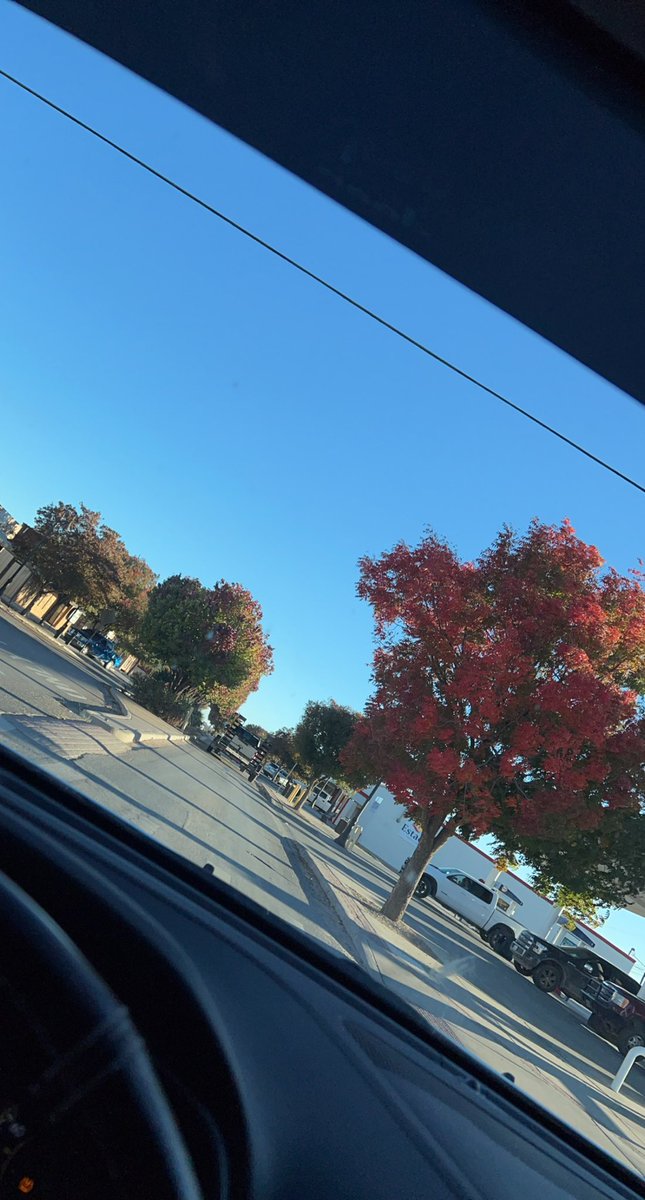 jojorg13's tweet photo. Autumn colors 😍 https://t.co/PzHwb5RHNN