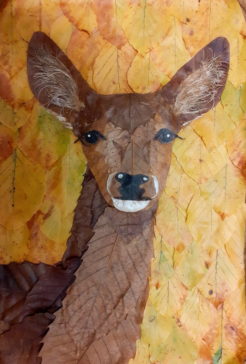 Some Sweet Chestnut leaves picked up in the Copse inspired this Doe - in full-alert pose. Made entirely from fallen leaves and seedheads. #CompostableAutumnArt