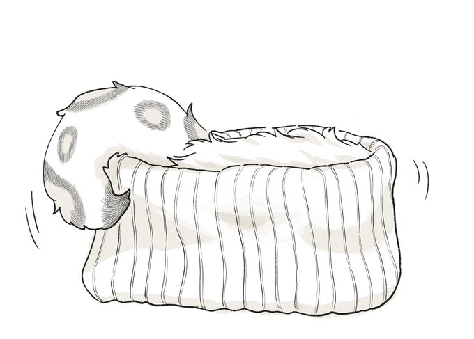 もどきー 