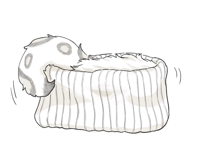もどきー 
