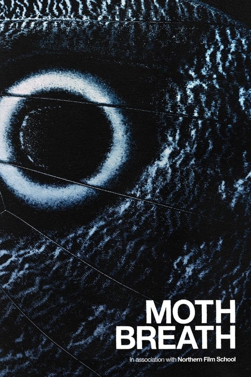Moth Breath
euassisti.com.br/filme/moth-bre…
#filme #serie #euassisti #terror #thriller #mothbreath