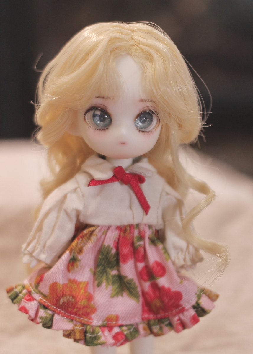 미웅/마이디어보이 tweet media