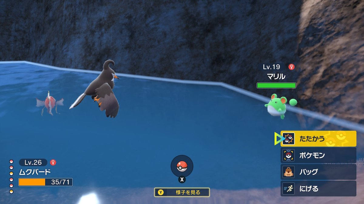 ソードシールド ノコッチの種族値 わざ 特性など能力と入手方法 ポケモン剣盾 攻略大百科