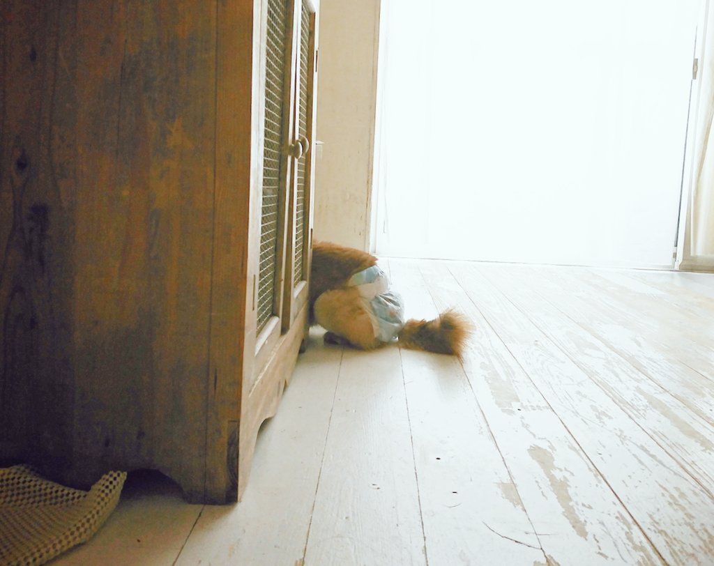 老犬と暮らす Twitter Search Twitter