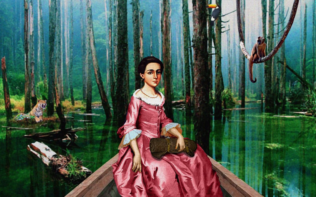 Eco / Amazonico (@ecoamazonico) on Twitter photo La historia de Isabel de Godín en la selva Amazónica en 1769 ecoamazonico.com/la-historia-de… <a href="/olmedoriobamba/">Olmedo de Riobamba</a> <a href="/laguiapro/">GuiaPro</a> <a href="/MuniRiobamba/">Municipio Riobamba</a> <a href="/DiariodeRio/">Diario de Riobamba</a> La historia de Isabel de Godín en la selva Amazónica en 1769 ecoamazonico.com/la-historia-de… <a href="/olmedoriobamba/">Olmedo de Riobamba</a> <a href="/laguiapro/">GuiaPro</a> <a href="/MuniRiobamba/">Municipio Riobamba</a> <a href="/DiariodeRio/">Diario de Riobamba</a>