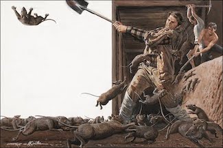 caldmurchfield's tweet photo. #AtThisPointInMyLife I'm hoping the Orkin Man gets here soon. https://t.co/lPhp7dXjoq