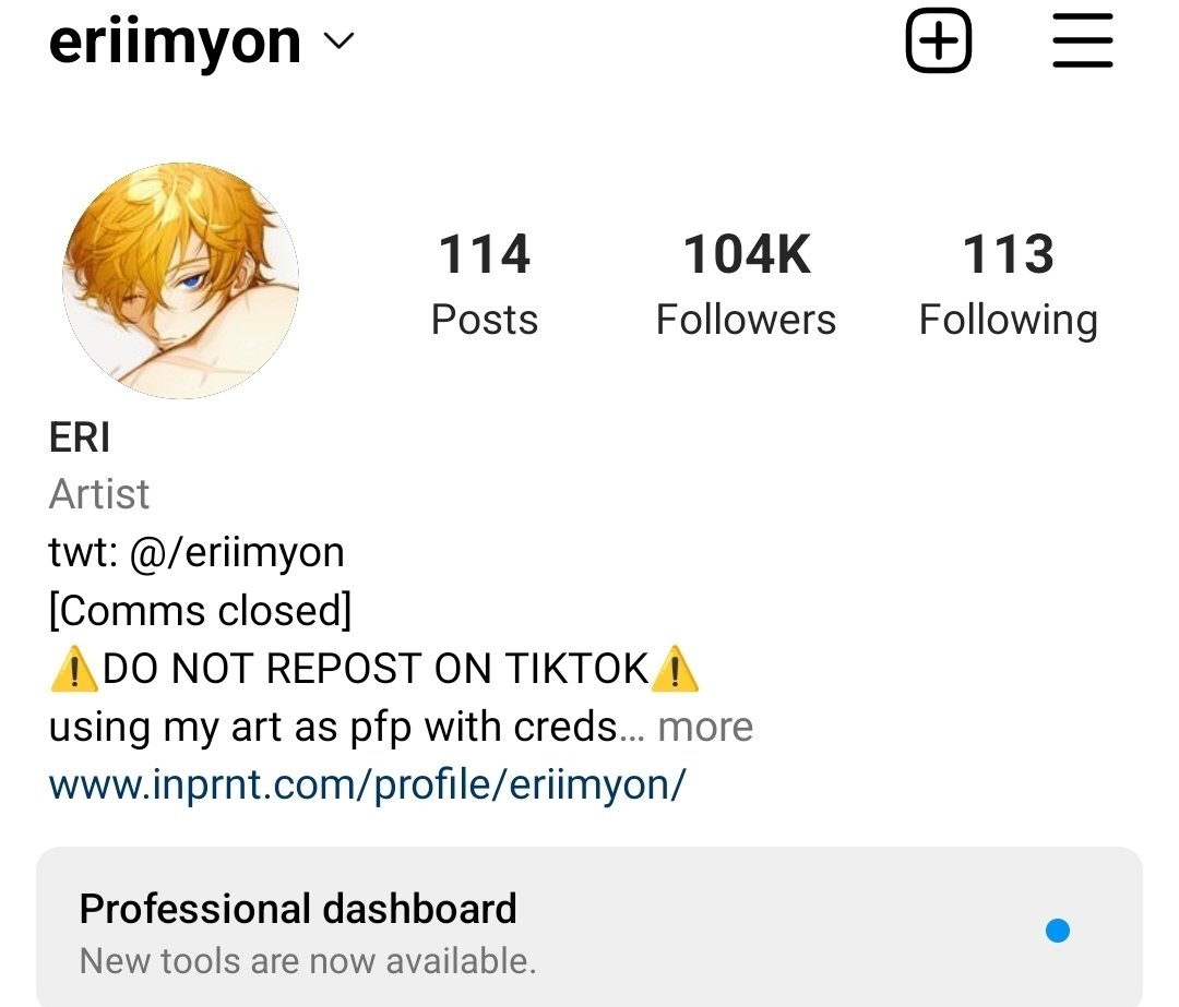 eri-on-twitter-if-something-happens-to-twitter-you-can-find-me-on-ig