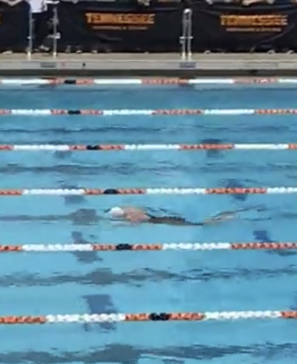 Kyle Sockwell tweet media