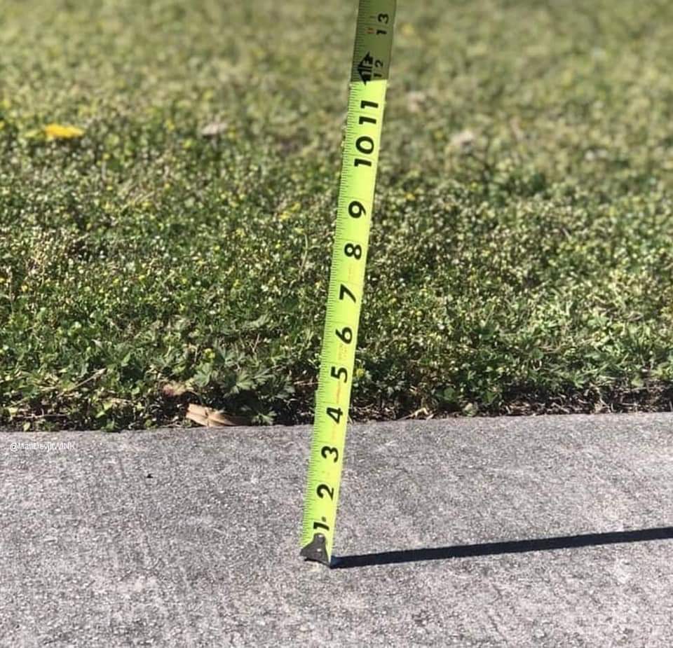 tropicalupdate's tweet photo. In case you were wondering... Florida snowfall totals today. https://t.co/W7KmGIeLi8 https://t.co/vRRyL6dIsW