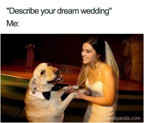 ellelljaytoo's tweet photo. #AtThisPointInMyLife I know EXACTLY what I'm looking for in a partner.
#dogtweet #dogsoftwitter πΎπ₯π https://t.co/evDYYscIqA