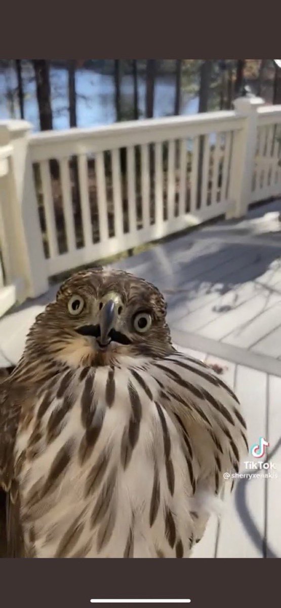 <a href="/xkingdomi/">Naur.</a> “Did this bitch really just PICK ME UP”