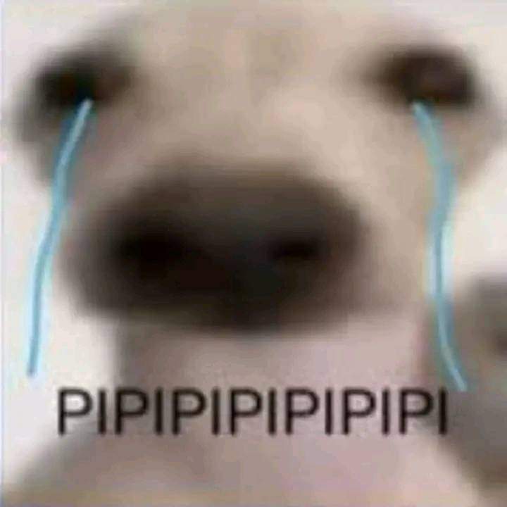 JuliVaca's tweet photo. Antes de que muera TWITTER quiero decir algo mi última frase.             se que ha pasado muchas cosas pero a pesar de eso tú eres el mejor amigo que tengo . #RIPTwitter https://t.co/oPmoTCFDy0