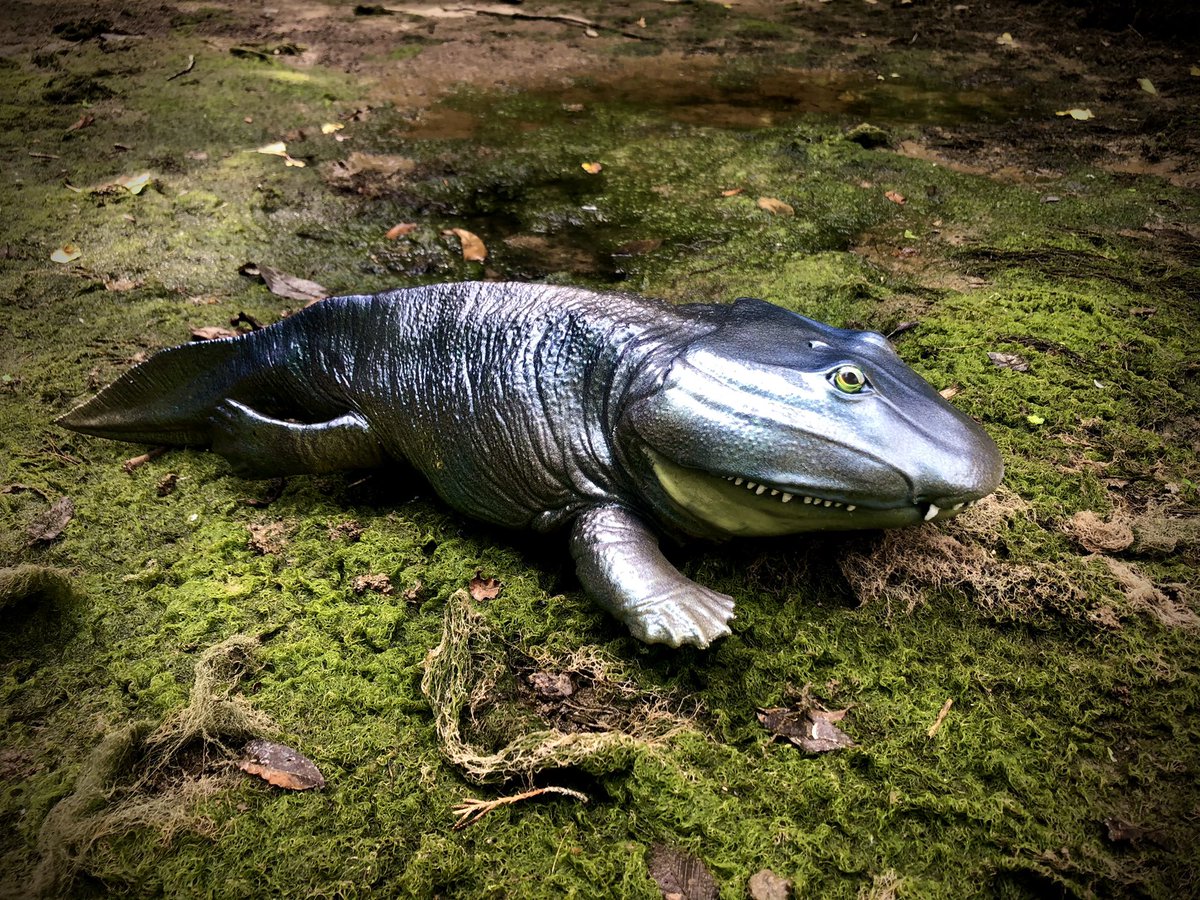 Gnarly_Larvae's tweet photo. Hi I’m Dave, jumping on the #animalartistsunite bandwagon. I print and paint 3D animal models that other talented people digitally sculpt. Sometimes I turn them into weird things. I have an affinity for leggy fish, and invertebrates. https://t.co/ulA9xIxHF8