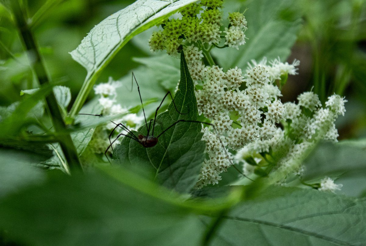 CambersCreative's tweet image. Peosta, Iowa 09/10/2022 #photography #photooftheday #photoshop #photo #photographer