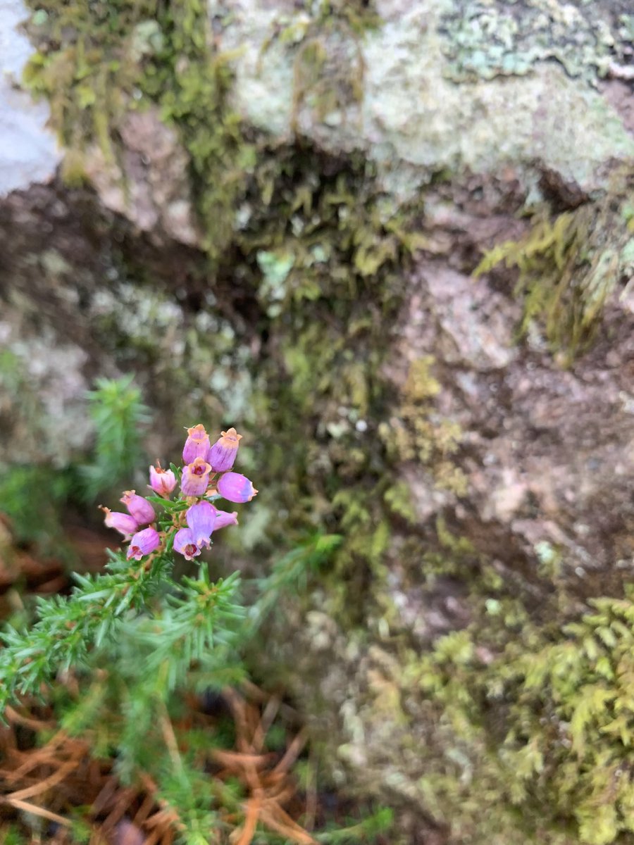 Last month in Scotland…