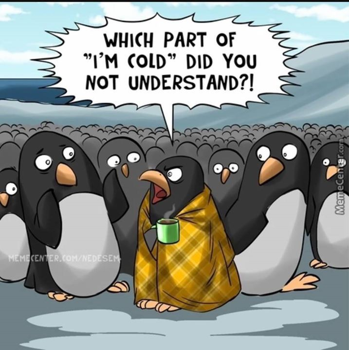 EvilRappLady 🇺🇸🇬🇧 (@evilbooklady) on Twitter photo 