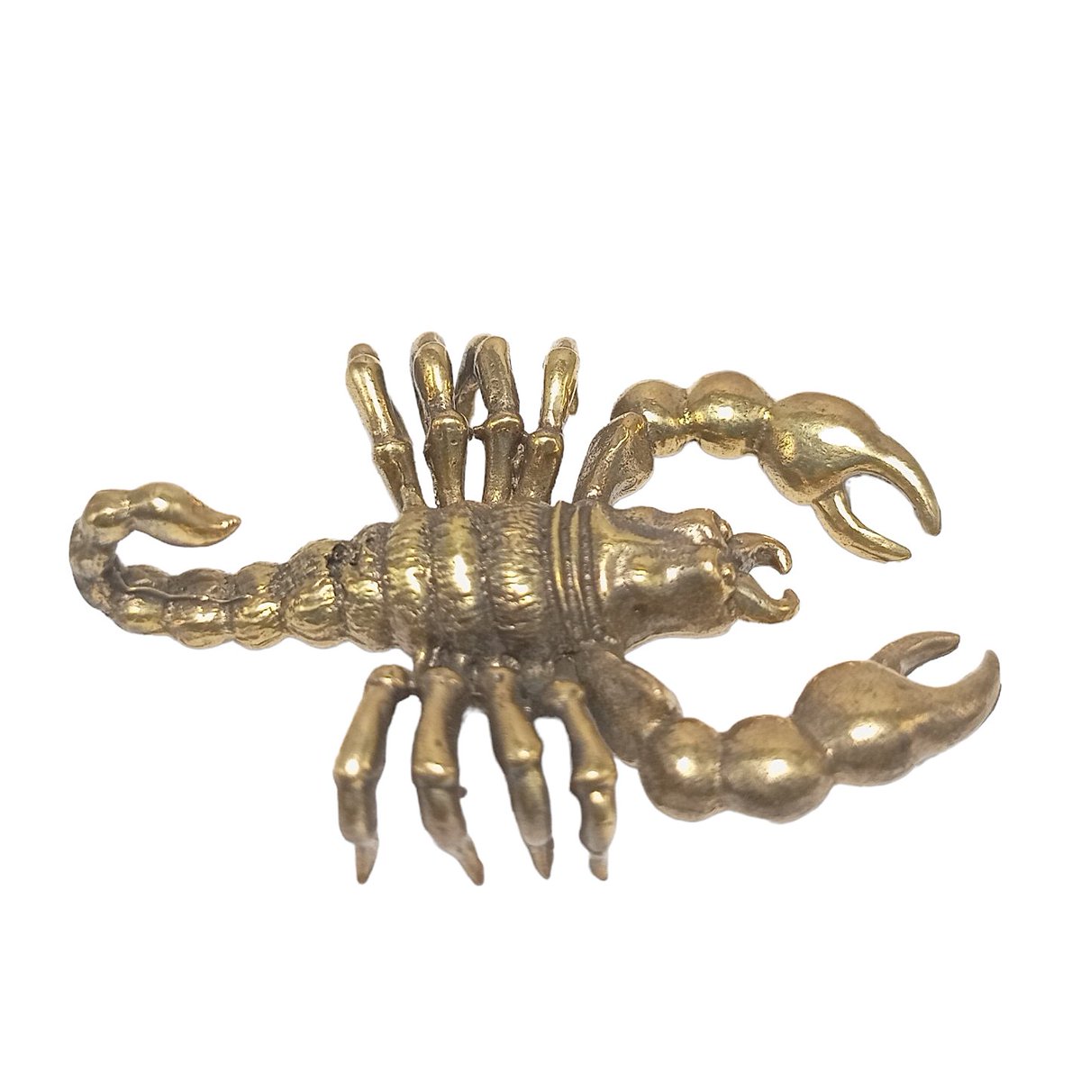 Swiss on Twitter "RT esan_inter21 Check out Scorpion Ornament Animal