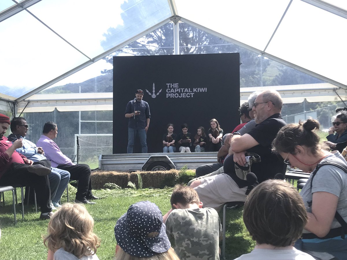 Amazing day with the return on #Kiwi to roam #Wellington’s hills, thanks to #CapitalKiwi’s massive efforts to remove predators from West Wellington. First birds released today on Terawhiti Station (out by the wind turbines).