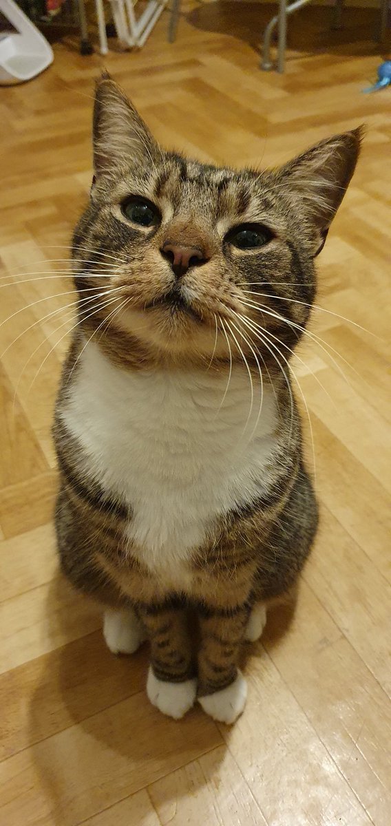 Seriously, how is he so cute?? 😍🥰