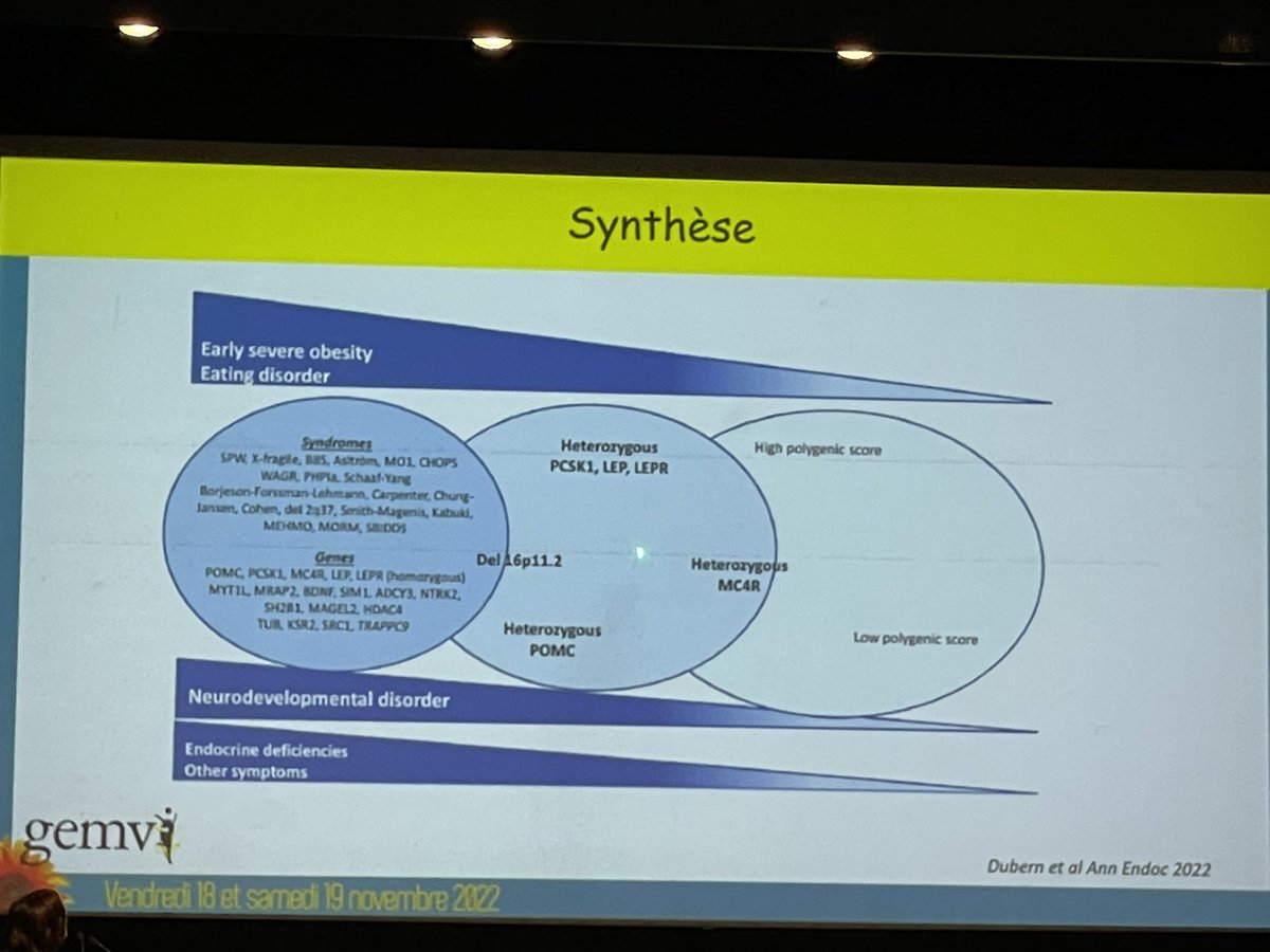 Lopes patrice tweet media