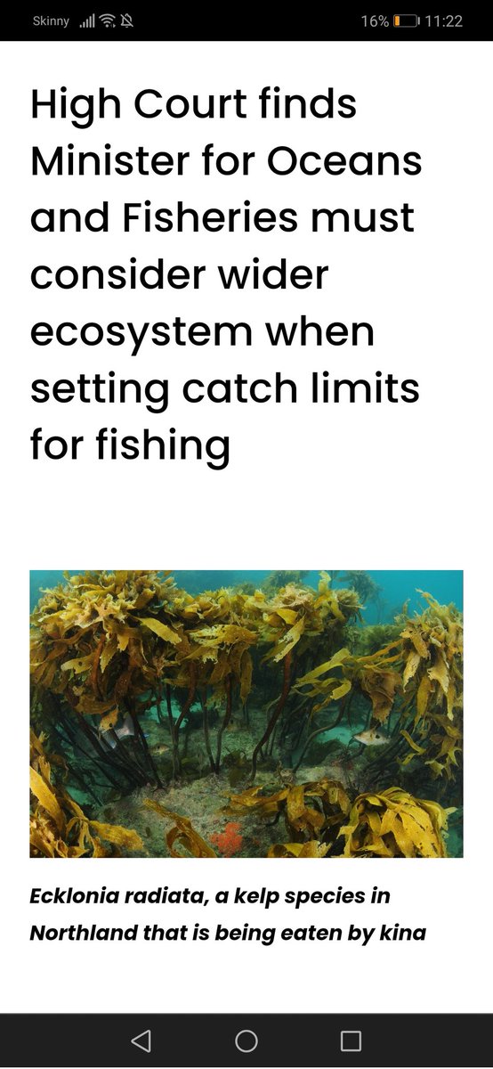 KorimakoEcology's tweet photo. I haven't seen any news about this. It has major implications so it's unusual it hasn't been picked up.
High Court finds Minister for Oceans and Fisheries must consider wider ecosystem when setting catch limits for fishing — Environmental Law Initiative
https://t.co/Yfoy46NS7C https://t.co/H73wttzIEA