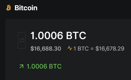 Toni Rio tweet media